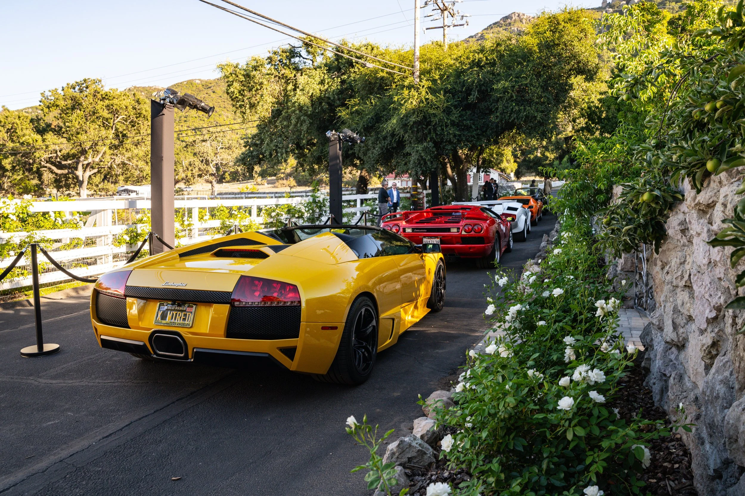 Photographed by Cameron Niven