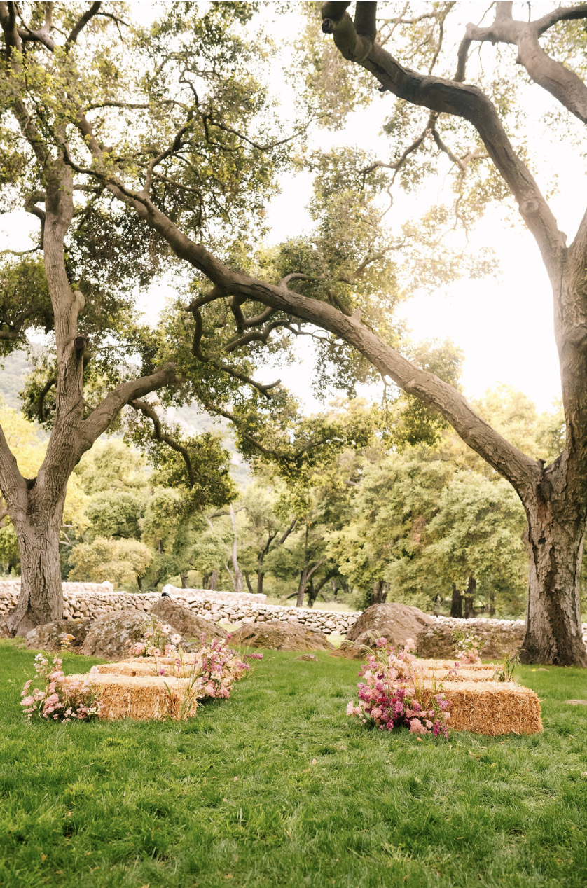 Screenshot 2024-08-27 at 9.19.46 AM.png