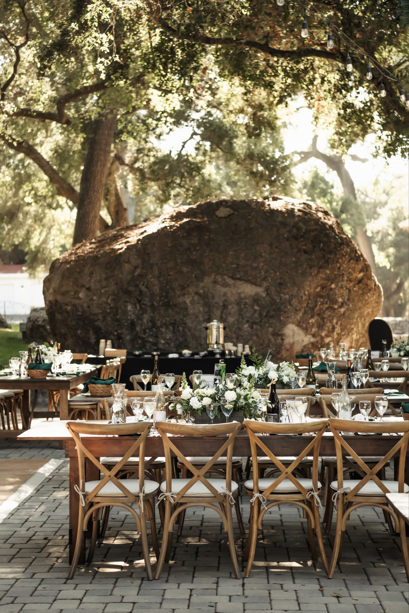 Screenshot 2026-03-13 at 12.36.25 PM.png