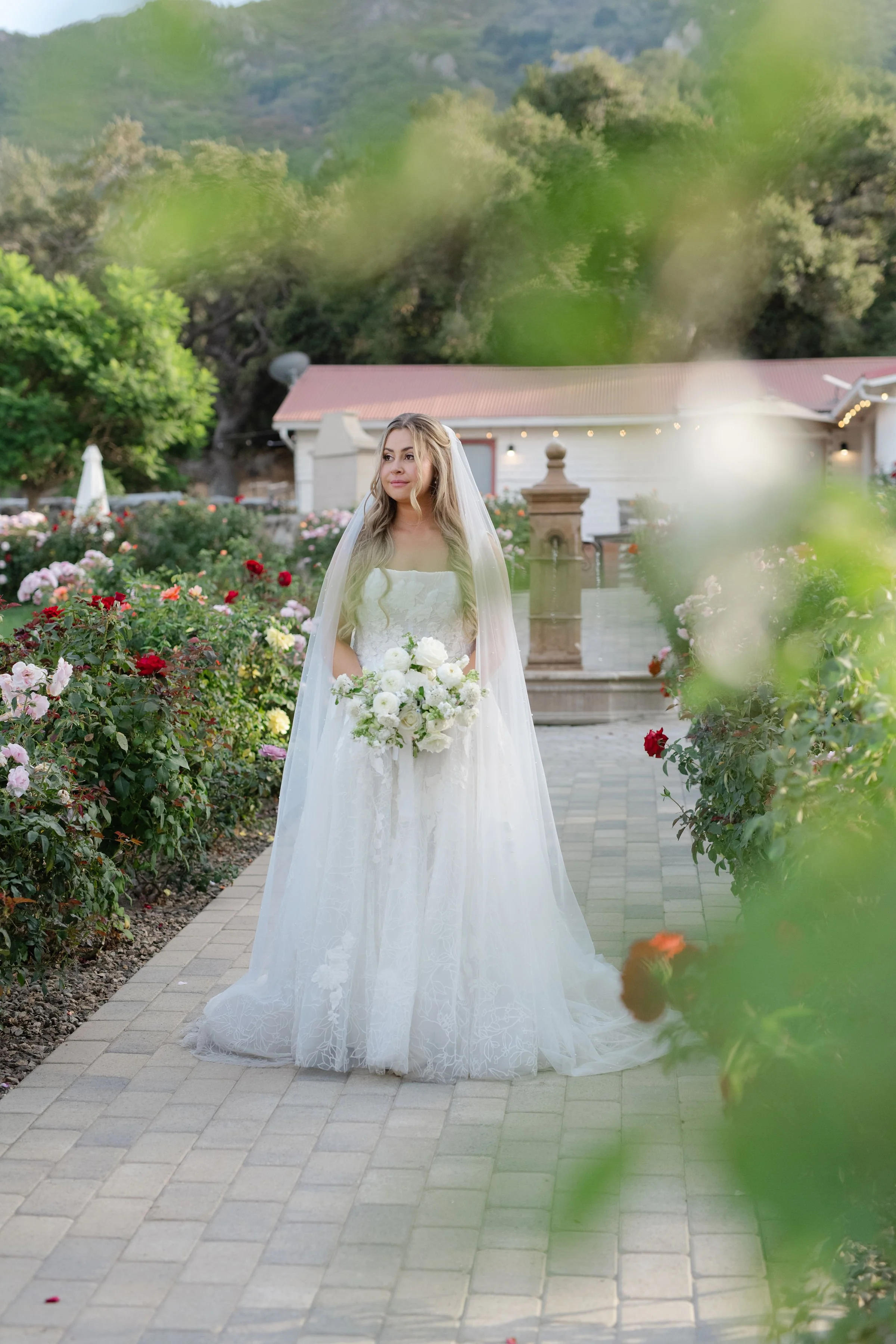 Photo by Jillian Rose Photography