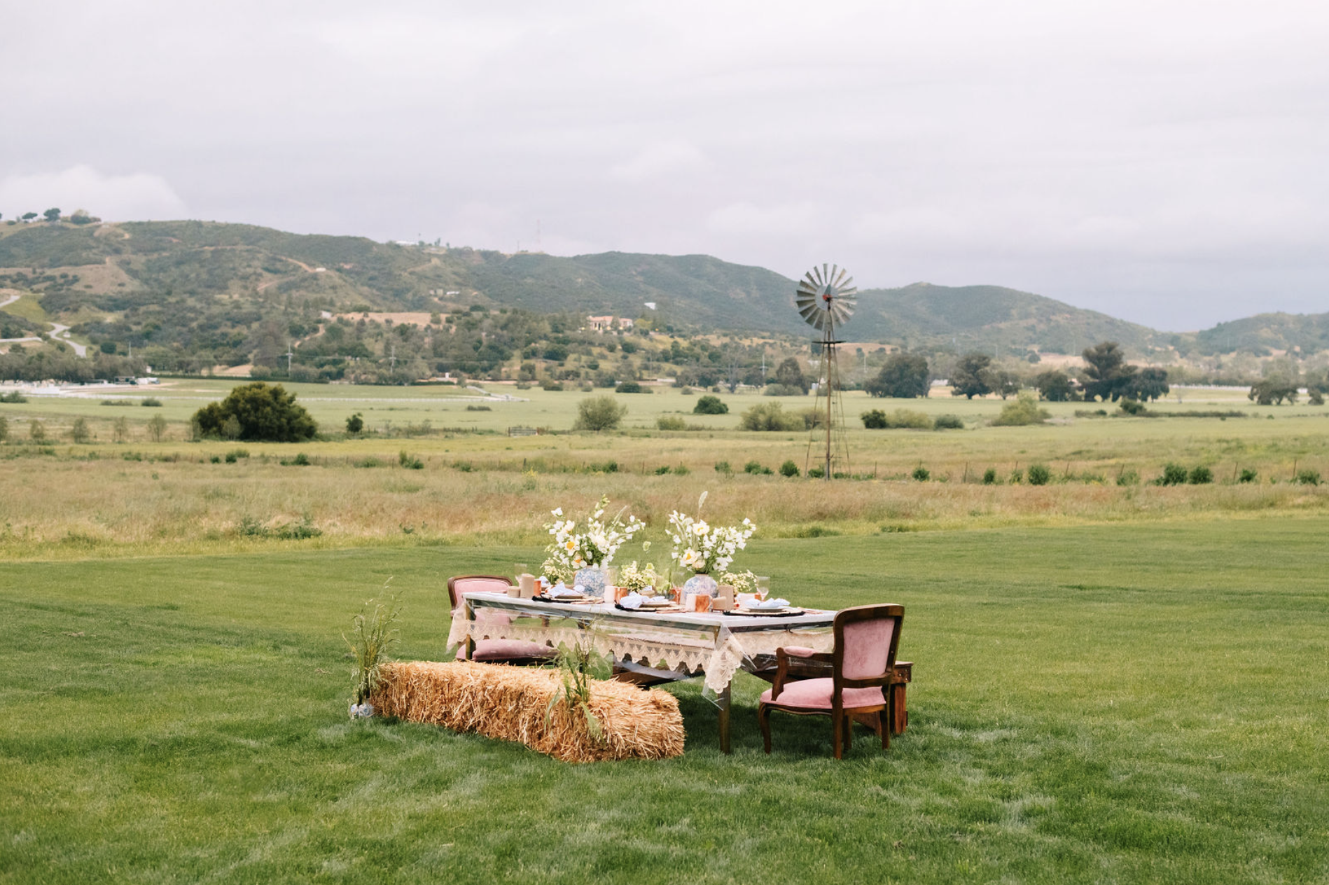 Screenshot 2024-08-27 at 9.25.56 AM.png