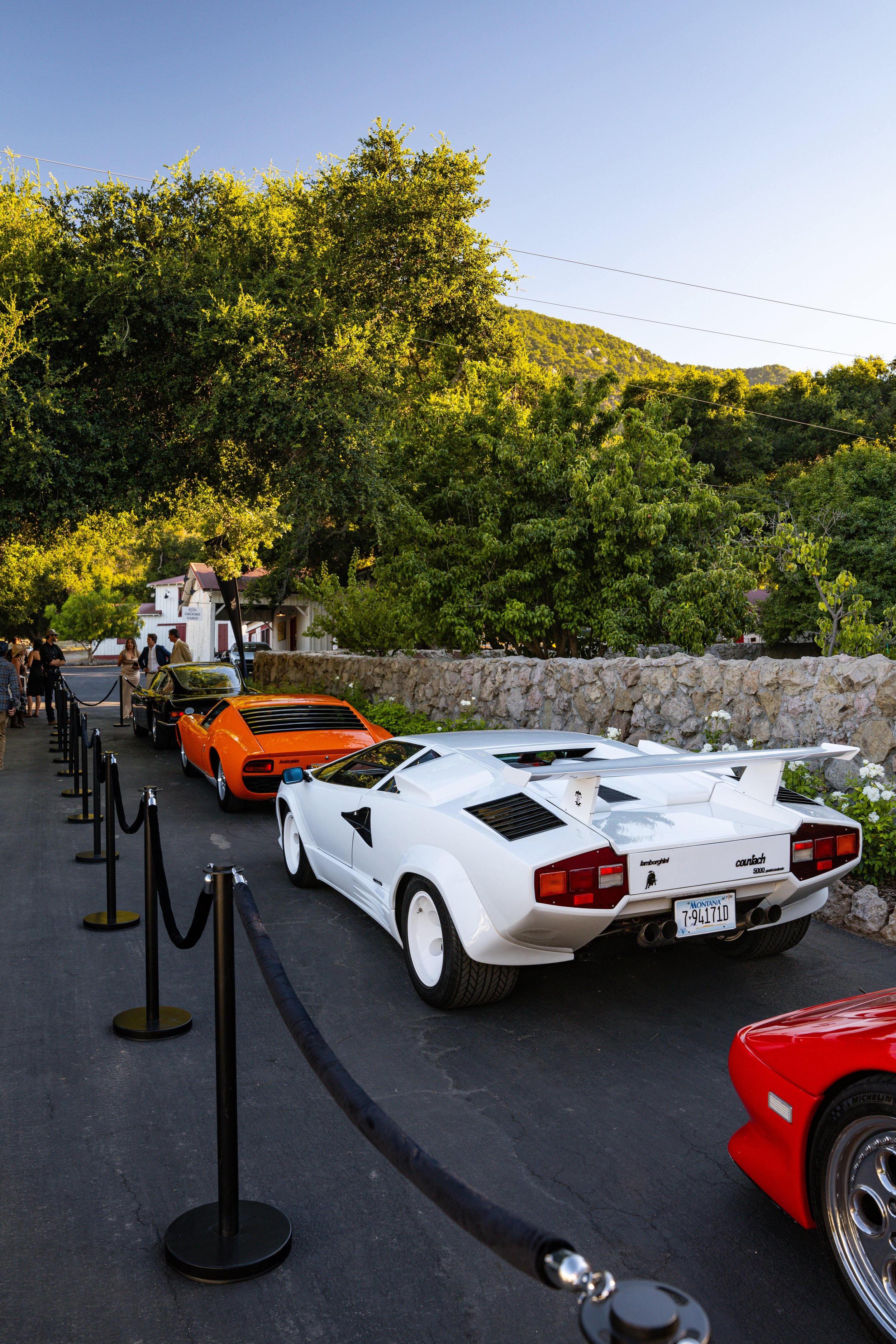 Photographed by Cameron Niven