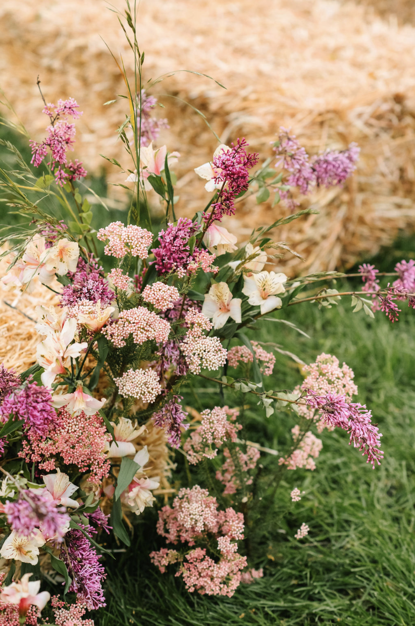 Screenshot 2024-08-27 at 9.20.30 AM.png