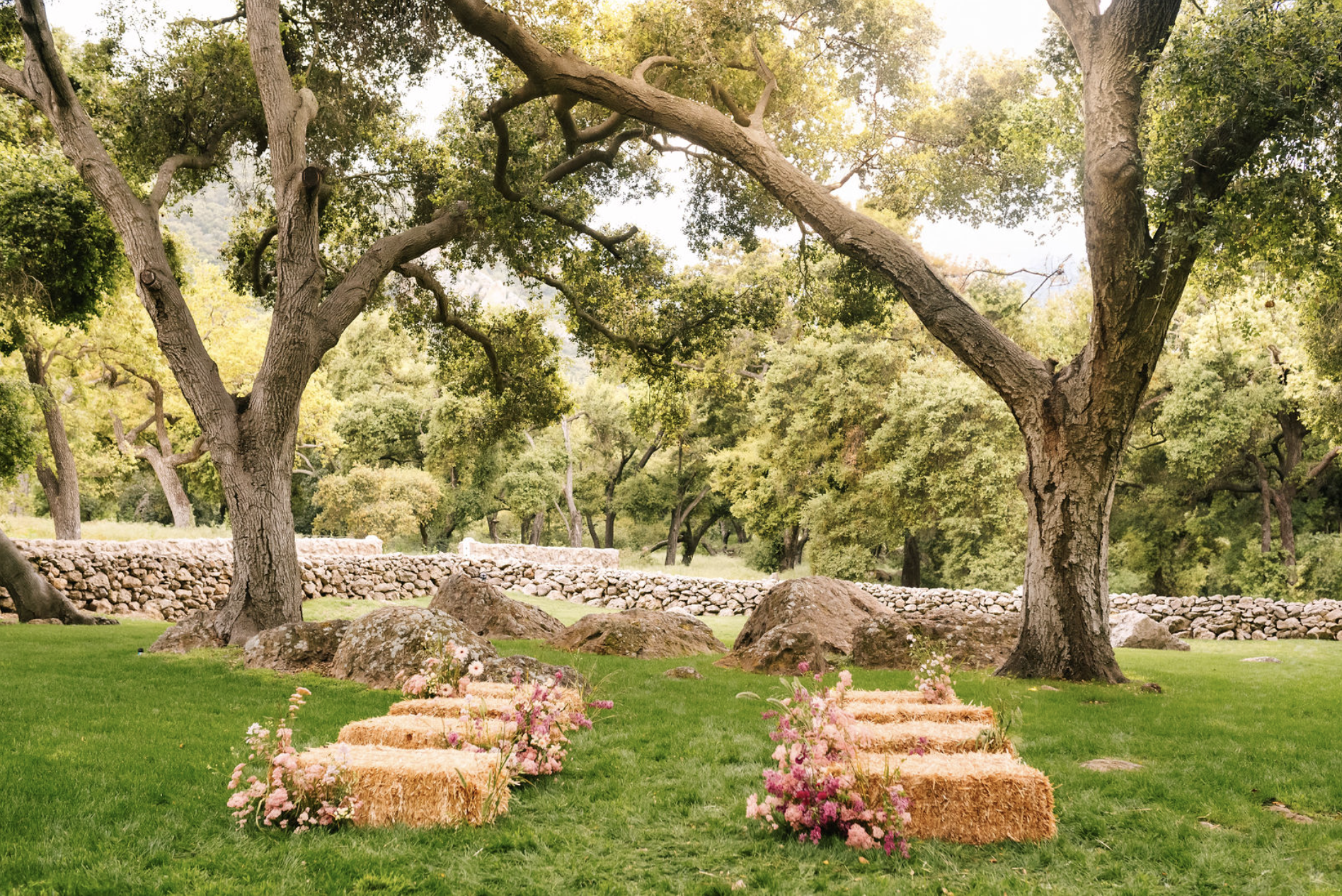 Screenshot 2024-08-27 at 9.19.36 AM.png