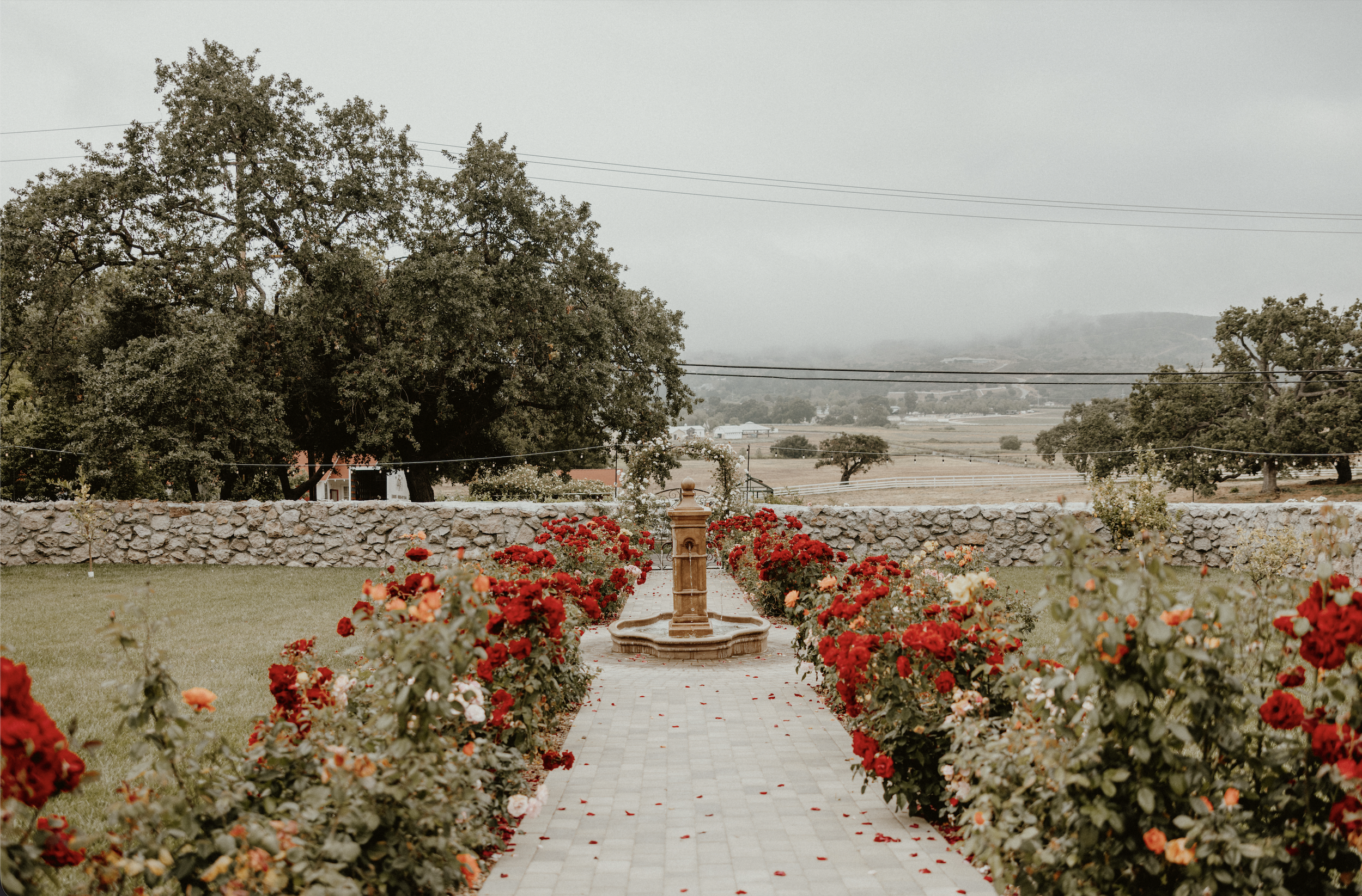 Photo by Simile Photography