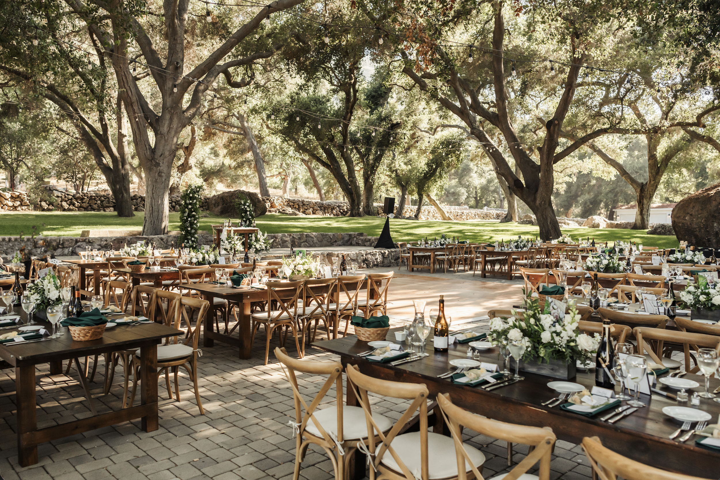 Screenshot 2026-03-13 at 12.31.51 PM.png