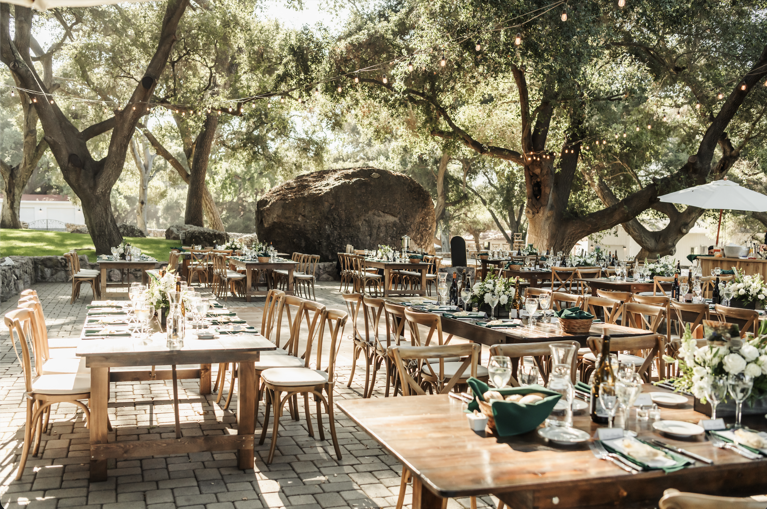 Screenshot 2026-03-13 at 12.36.47 PM.png