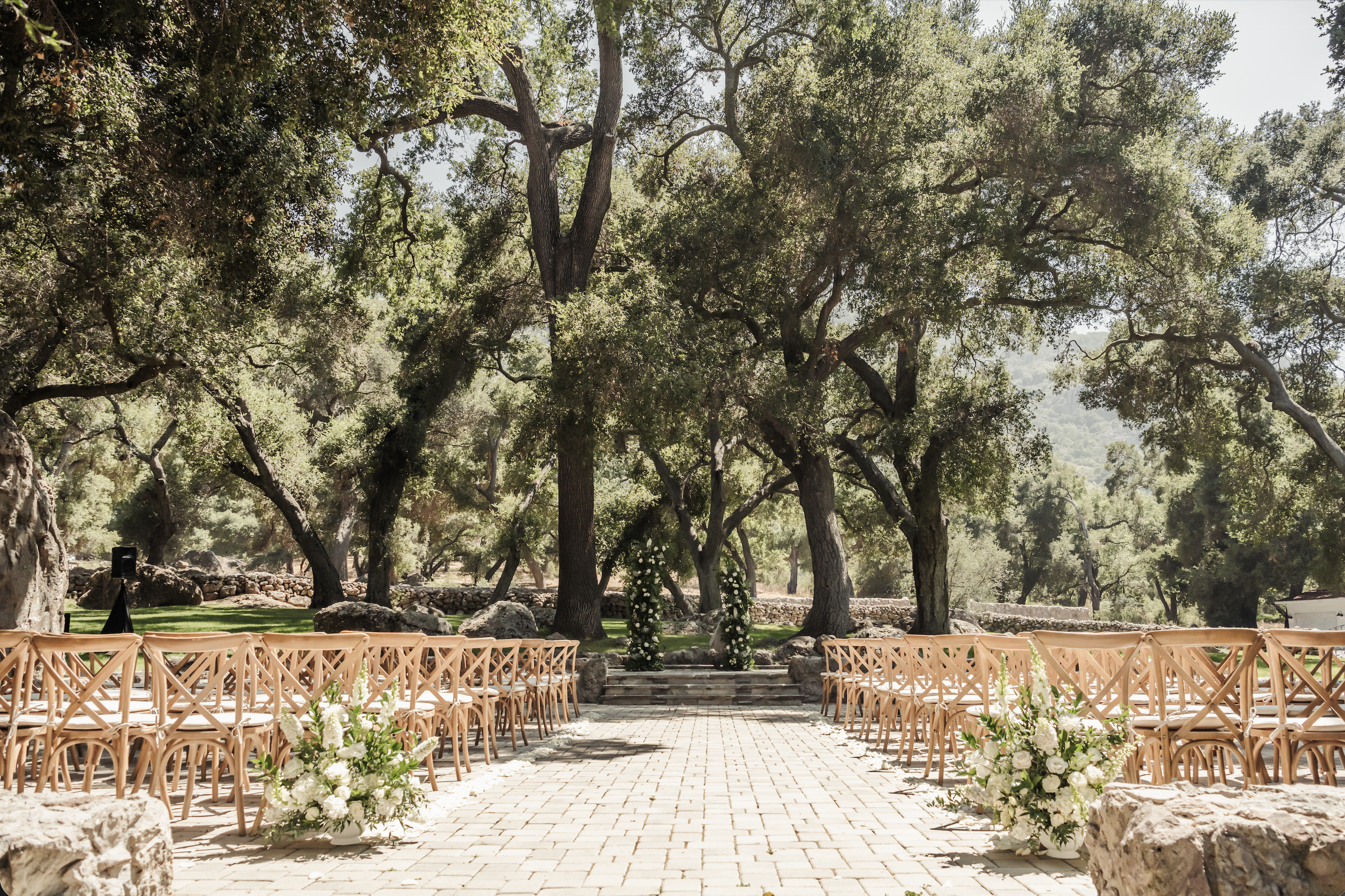 Screenshot 2026-03-13 at 11.17.55 AM.png