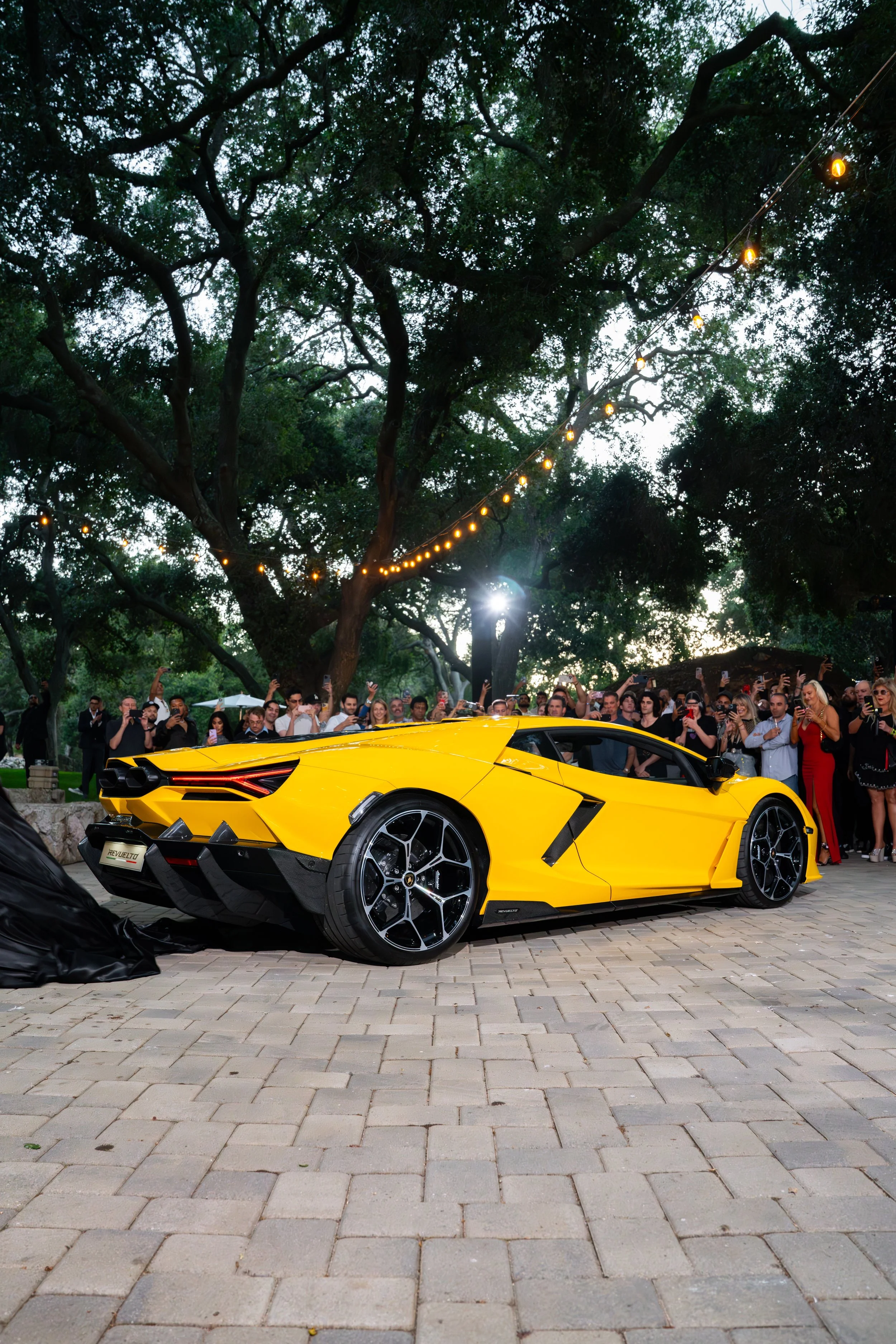 Photographed by Cameron Niven