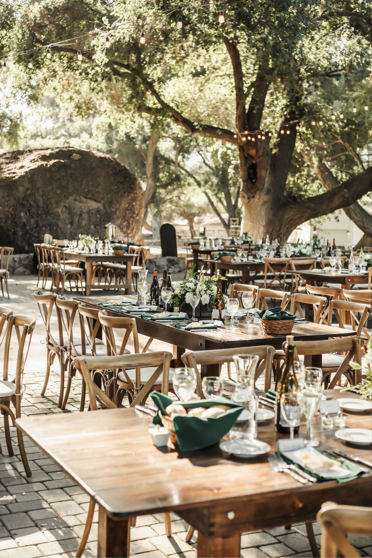 Screenshot 2026-03-13 at 12.36.59 PM.png