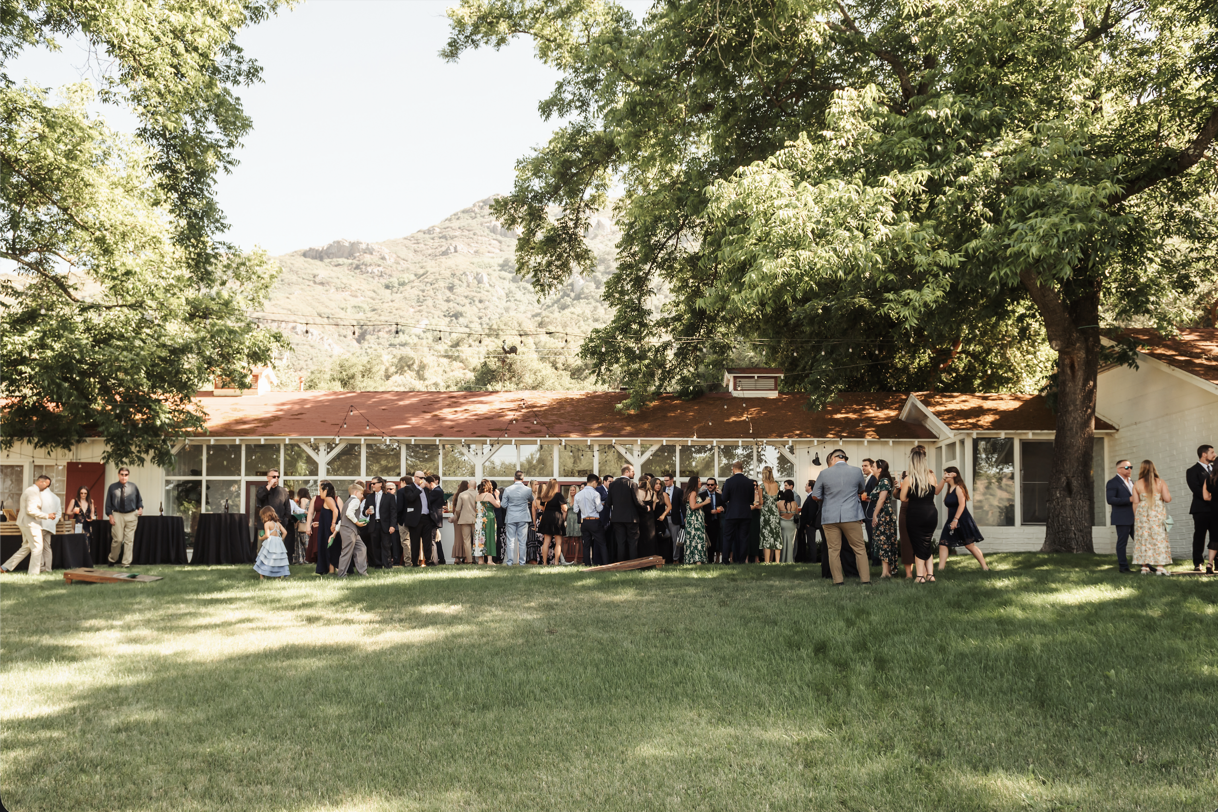 Screenshot 2026-03-13 at 12.27.39 PM.png