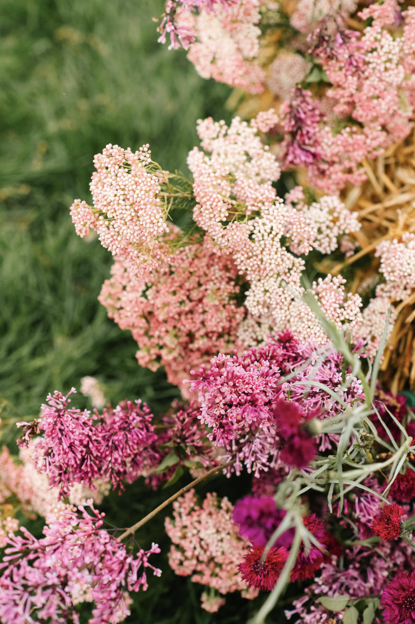 Screenshot 2024-08-27 at 9.20.08 AM.png