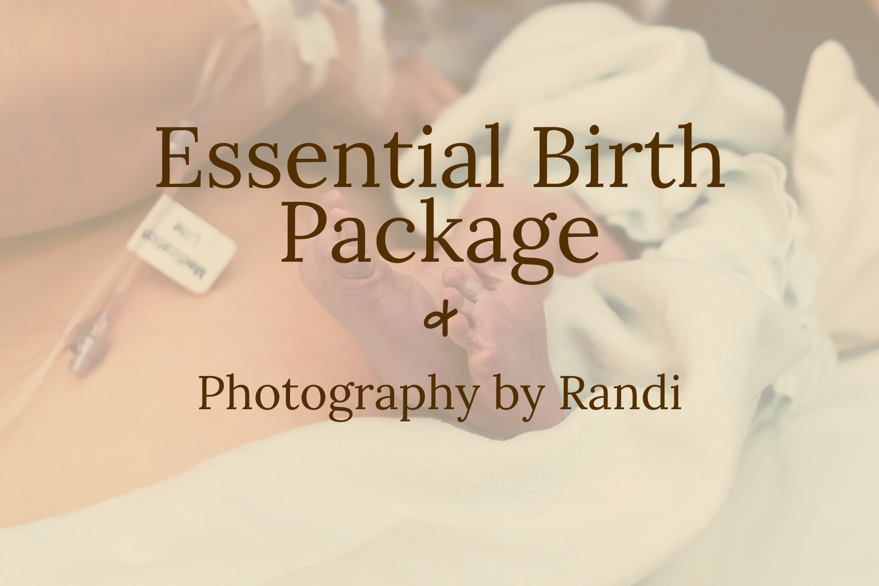 Birth Doula packages — Steady Ground