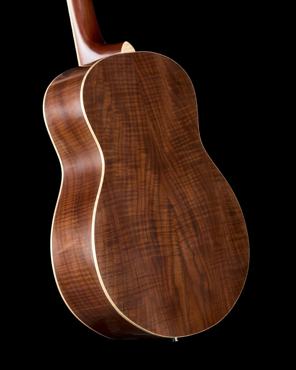ML 088 back treble.jpg