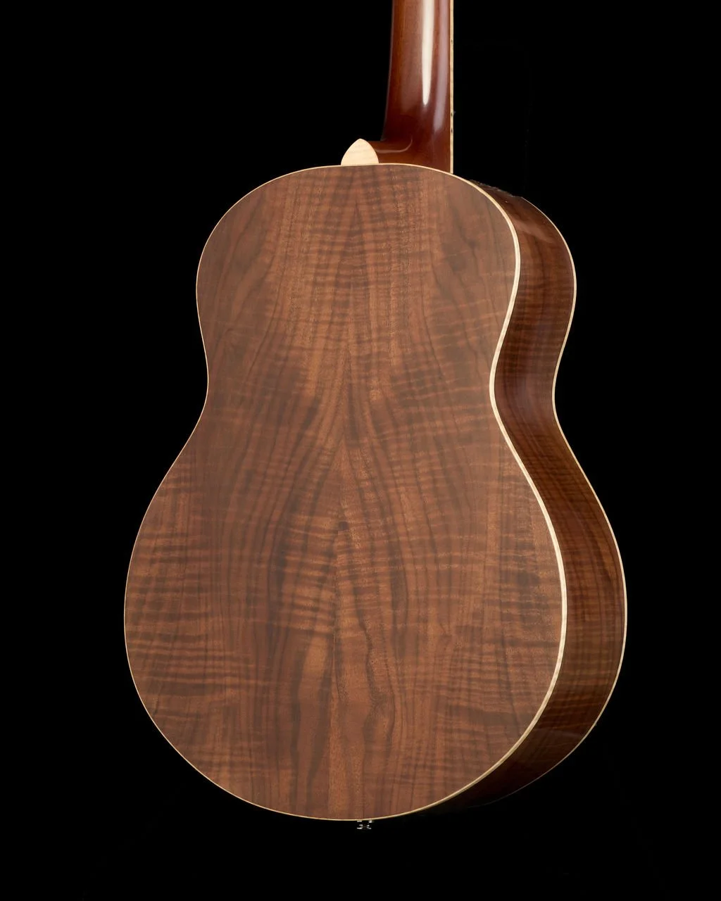 ML 088 back bass.jpg