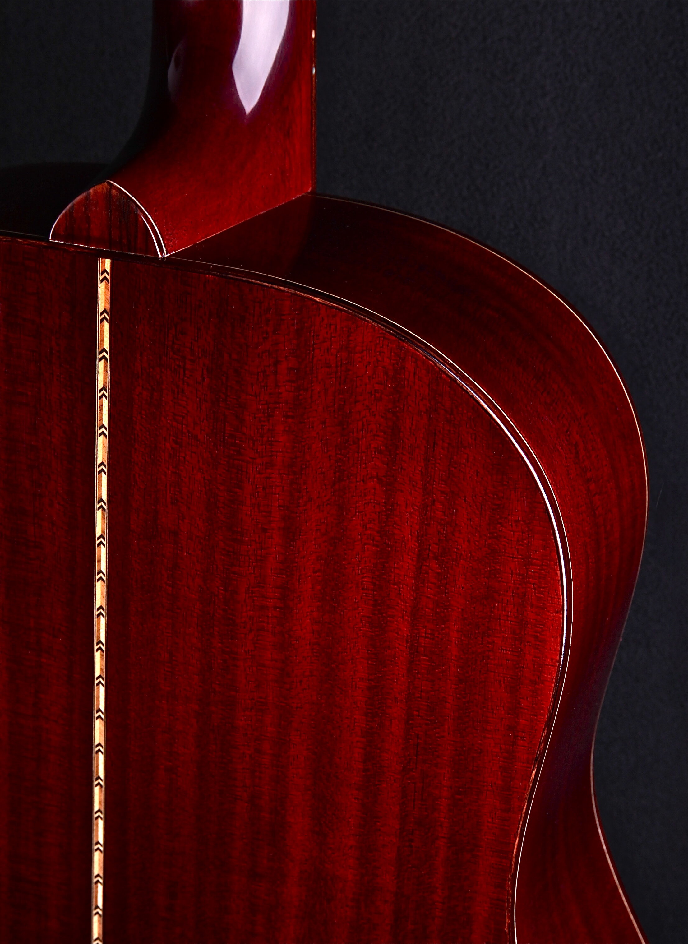 HENRY SD TORRIFIED (large) strap.jpg
