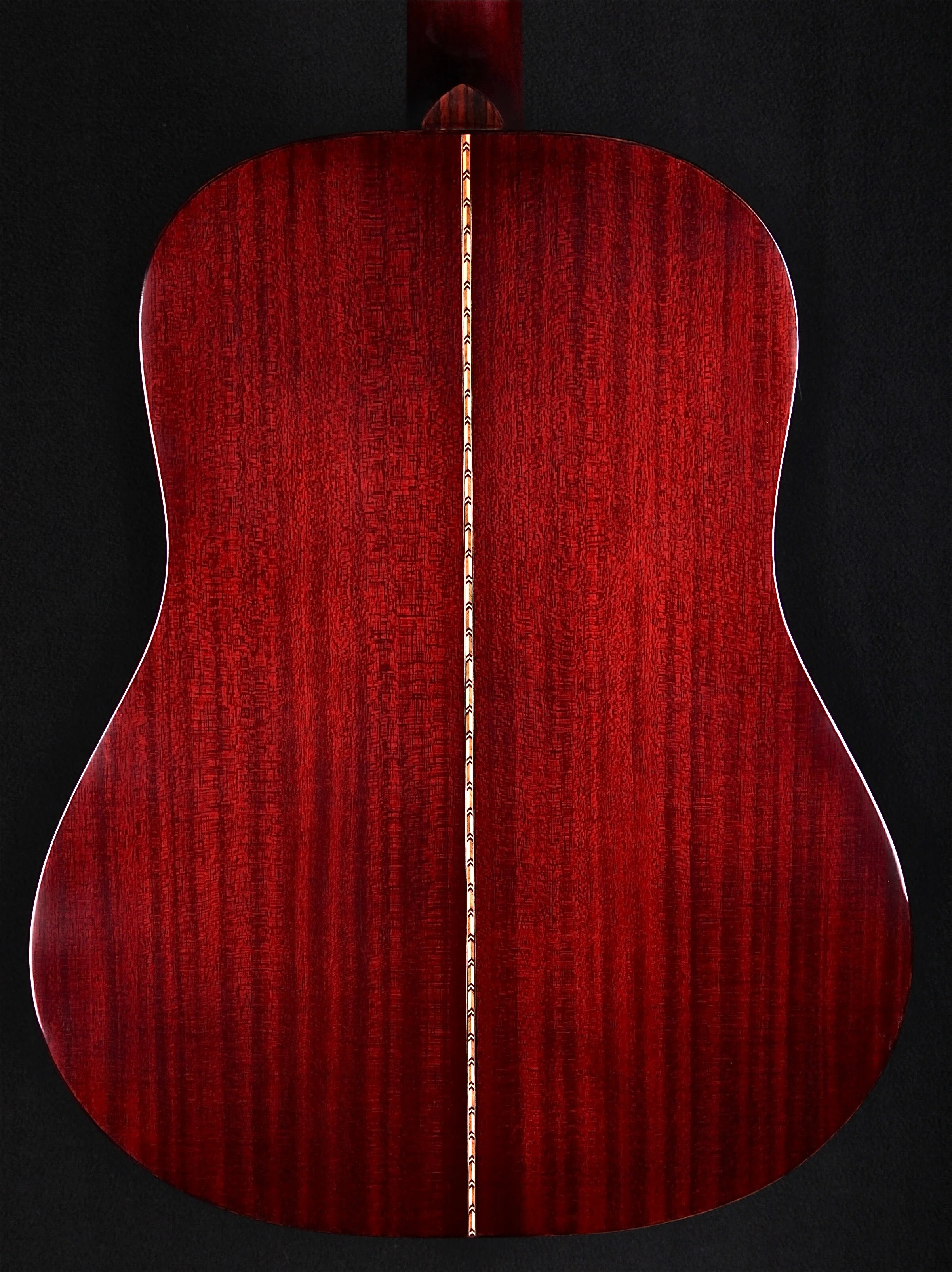 HENRY SD TORRIFIED (large) back sn 068.jpg