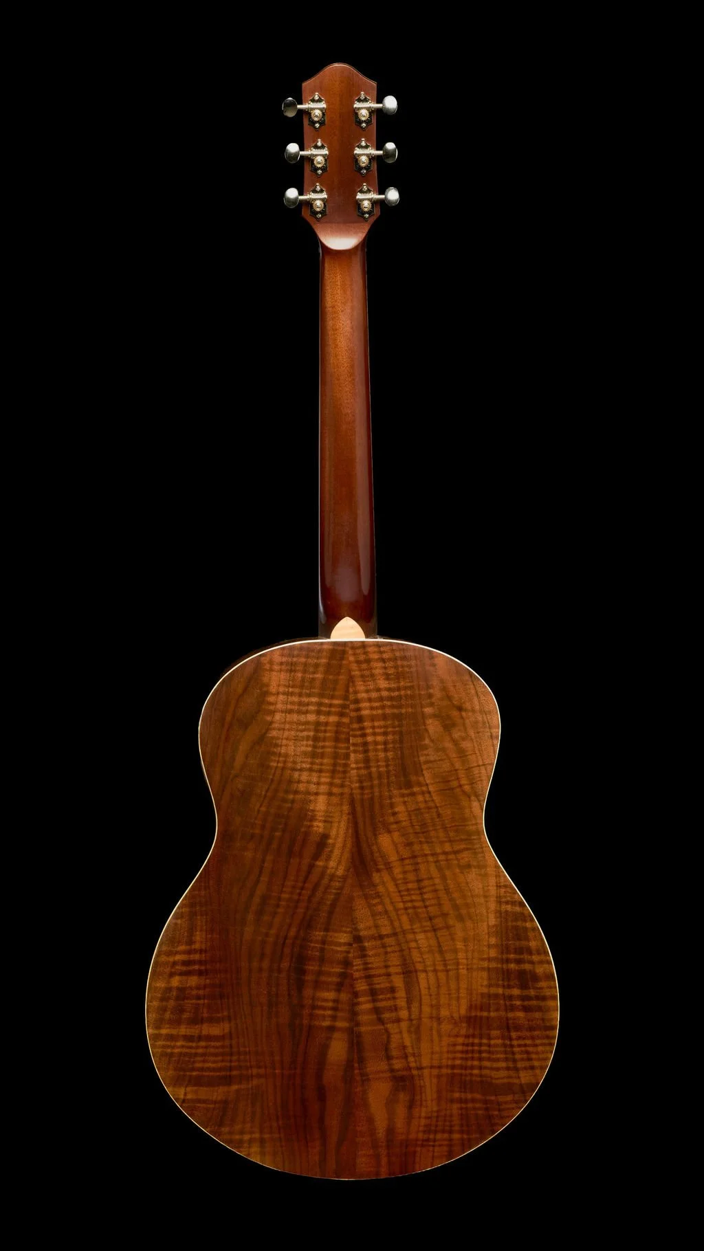 ML 088 full back.jpg