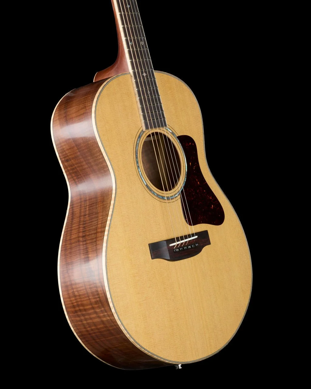 ML 088 front bass.jpg