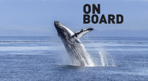 Reducing the Risk of Whale Shipstrikes