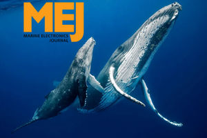 Can Technology Save the Whales?