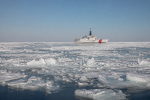 Operating at the Edge: Underwater Perception in Polar Maritime Environments