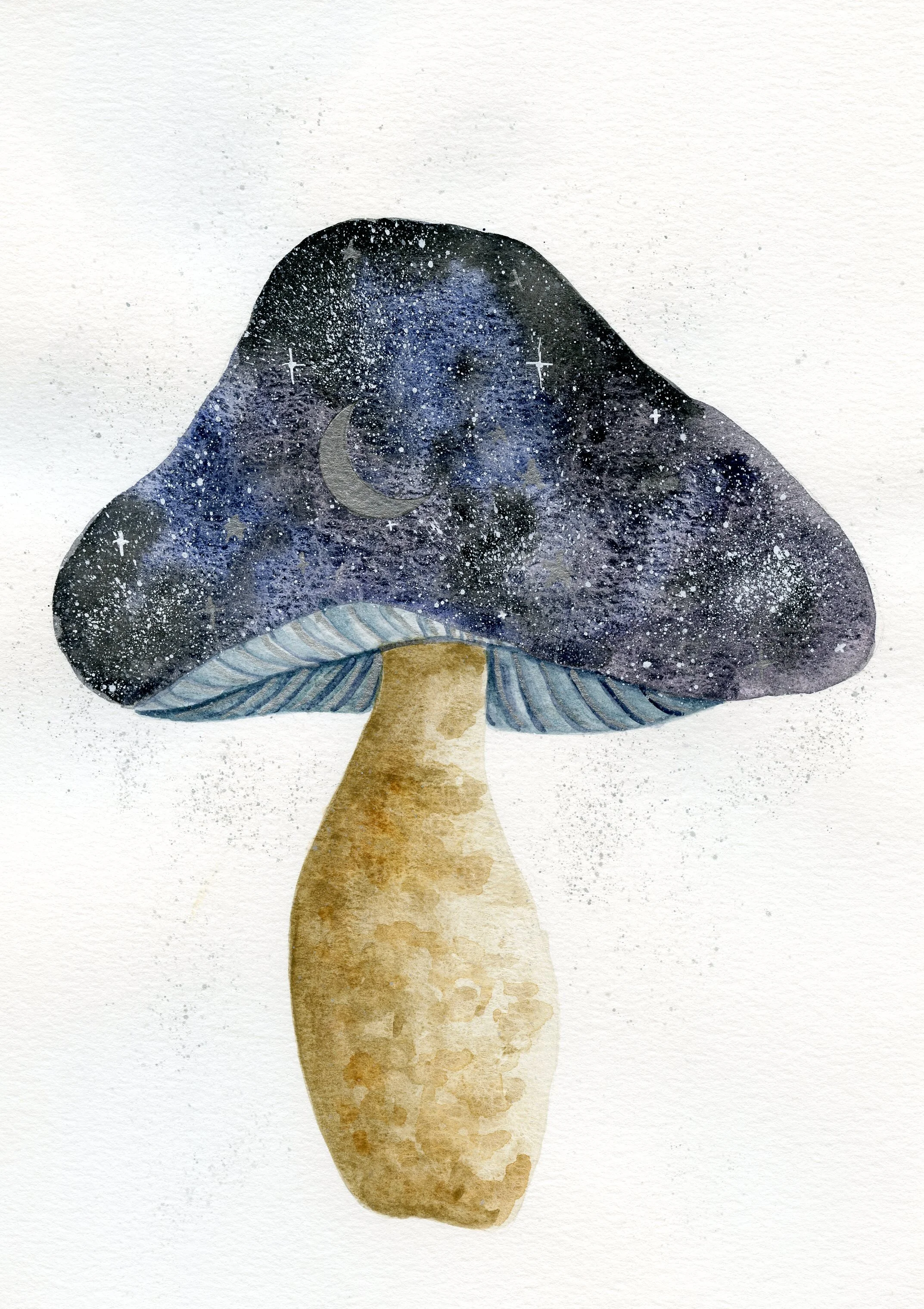 Galaxy Mushroom.jpg