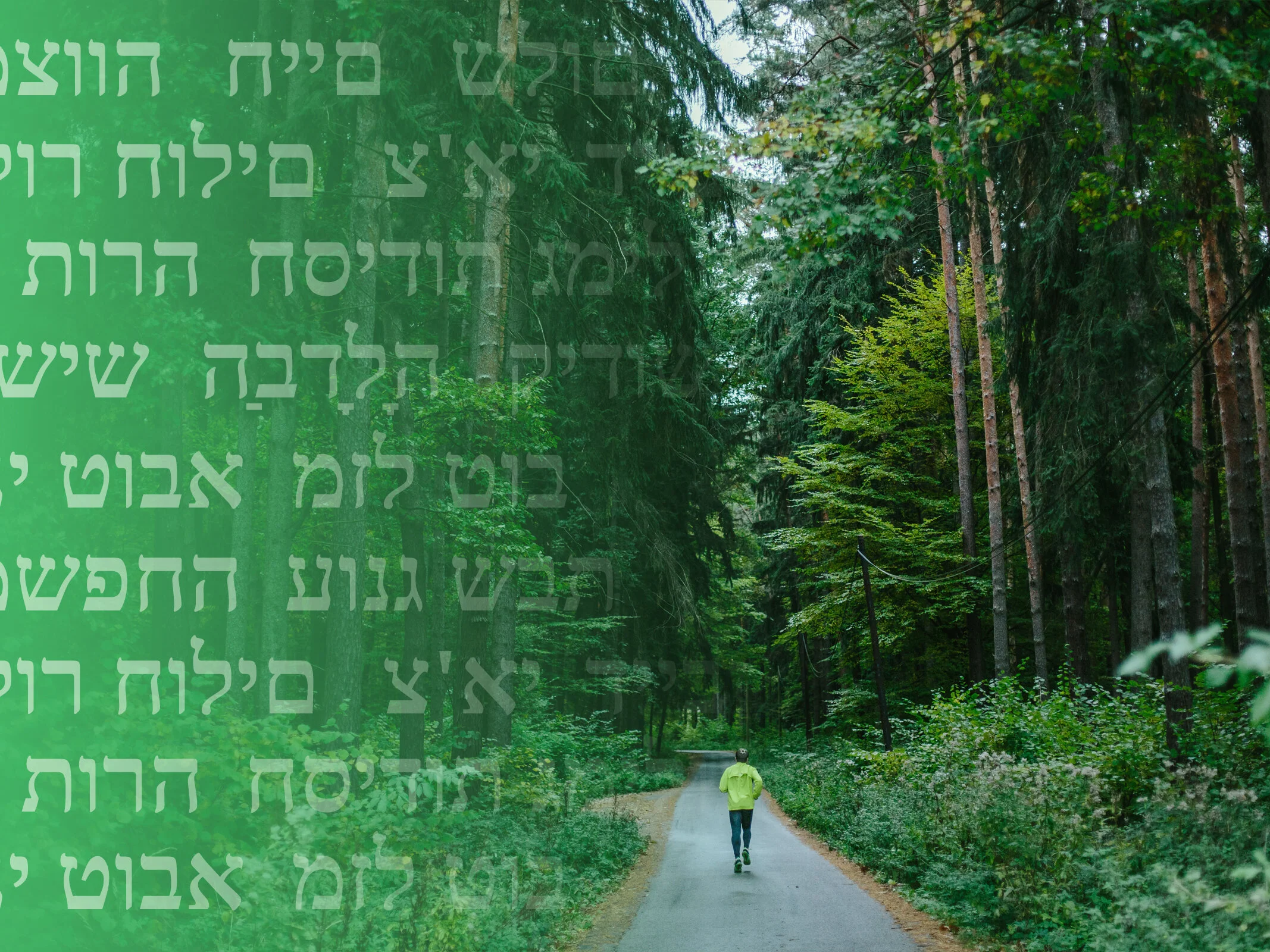 The parsha perspective weekly torah portion podcast