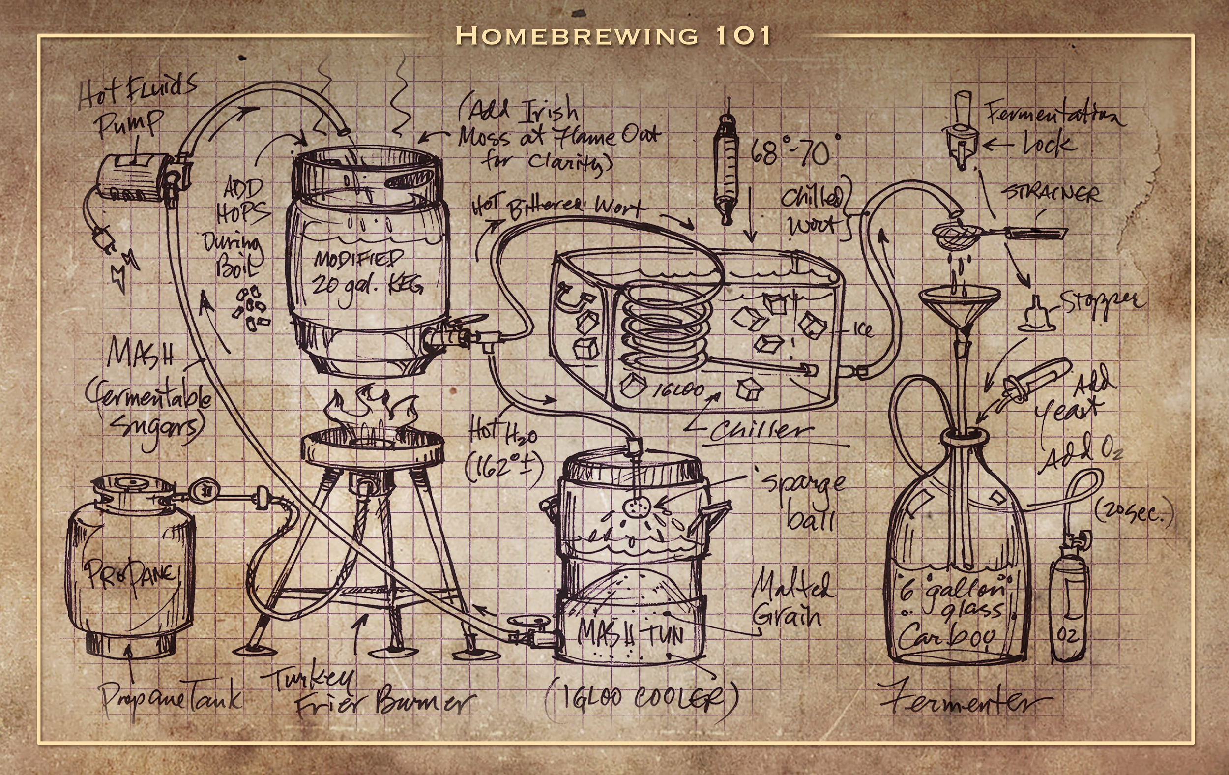  A batch of homebrew begins in a mash tun, where brewers heat malted grain to make wort. Brewers combine wort and yeast in a fermentor where yeast transforms wort into beer. Image credit: Kerry Kenemer. 