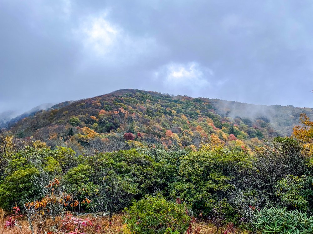  Rain clouds collect on mountaintops along the Appalachian Trail from Icewater Springs to Mount Collins, a common view throughout the park in autumn. Image credit: Jeffrey Rose, edits by Rachel Lense for The Science Writer 