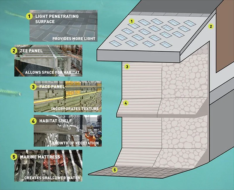 Sea Isolation Methods By the Rocky Shoreline — The Science Writer