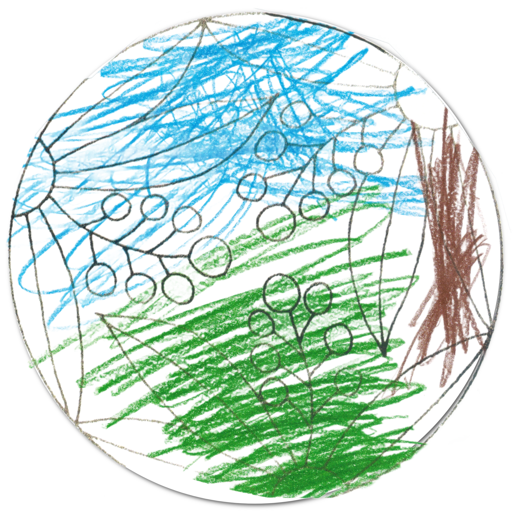 LUTN 25_Paxton_2000xTrans.png