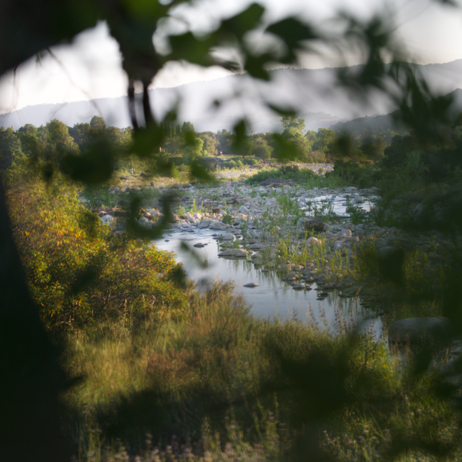 Sunset Renewal: Silent Walk + Sound Journey 