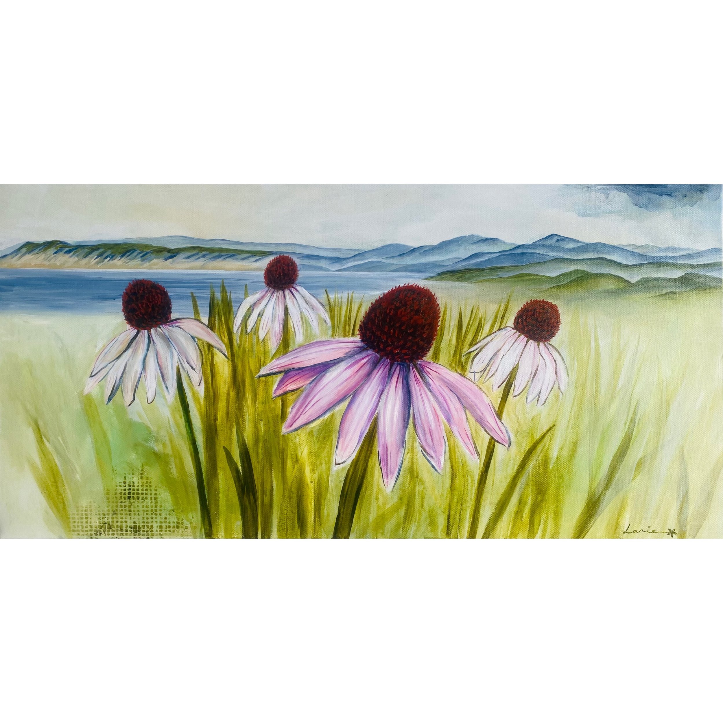 Between Petal and Sky