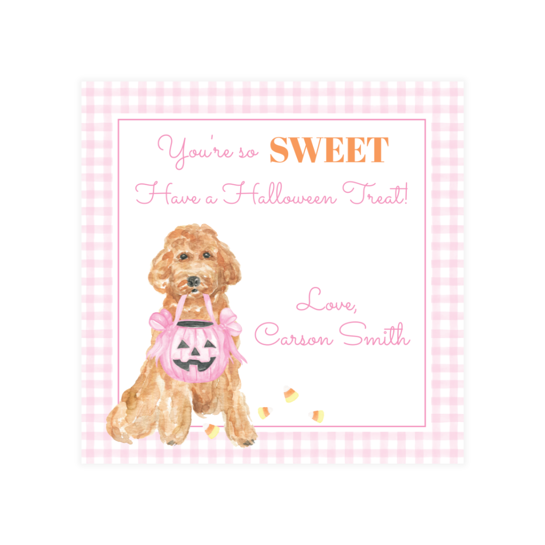 Untitled design - 2024-08-24T141845.324.png