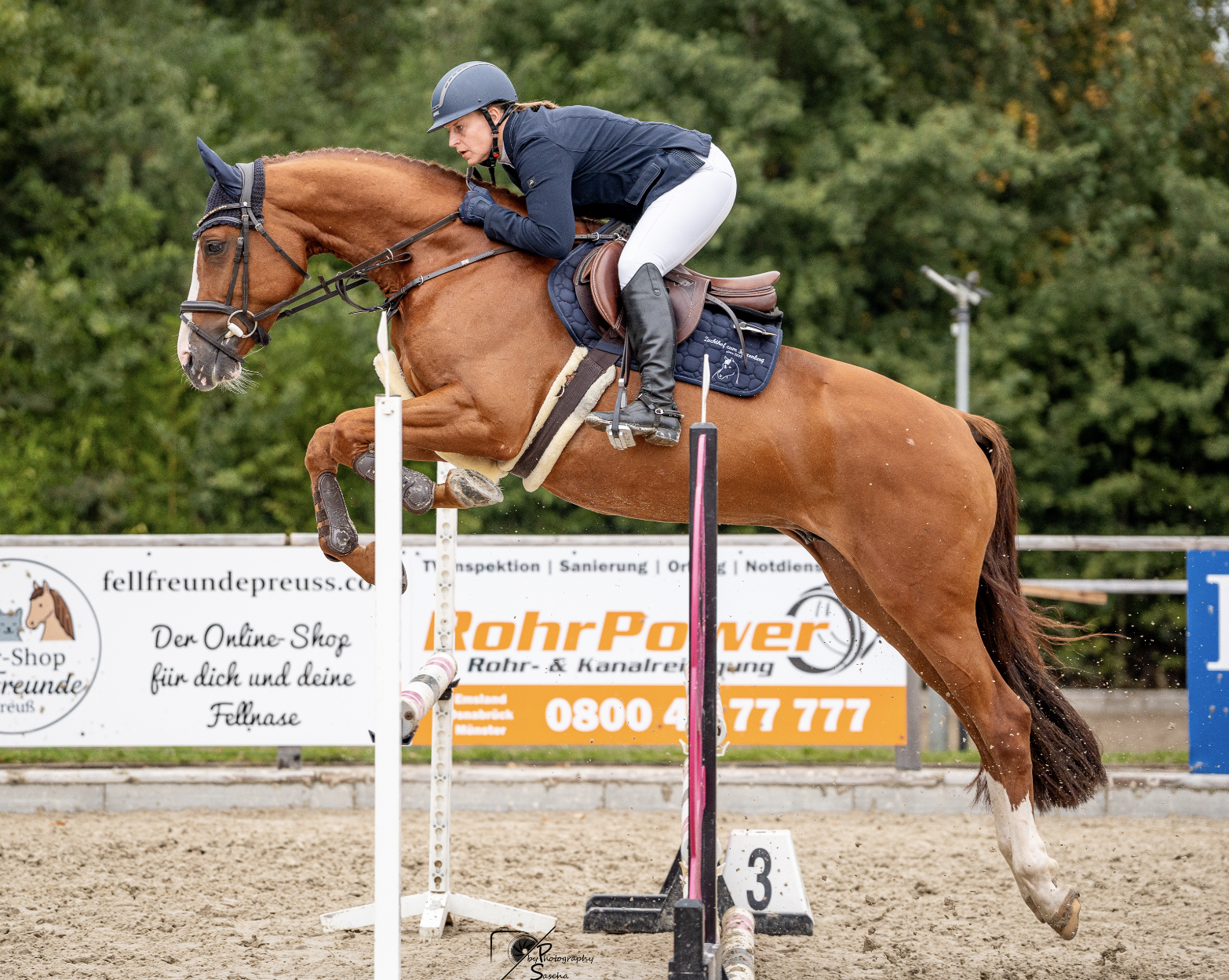 Screenshot 2025-09-30 at 10.41.04 AM.png