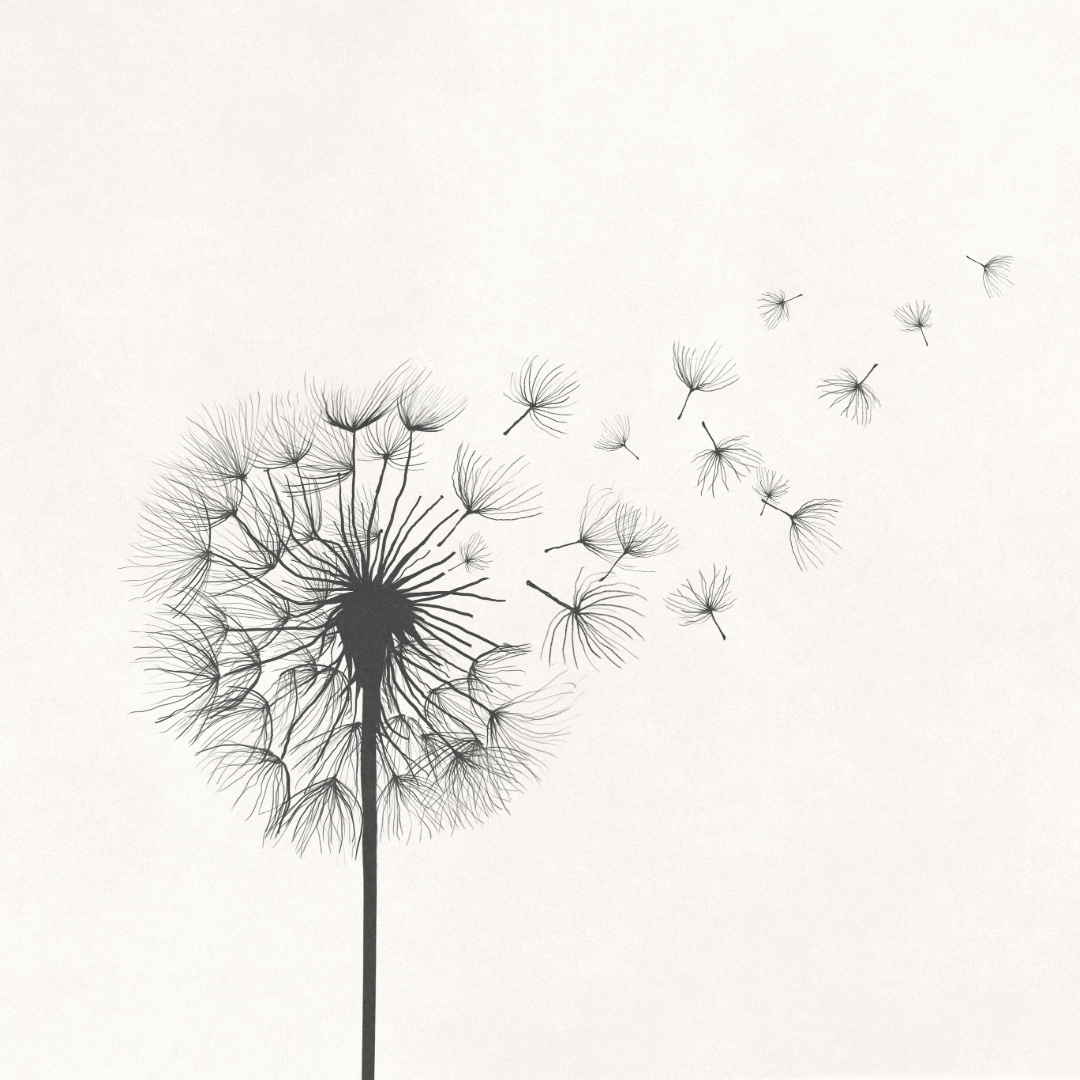 Exploring Radically Open Dialectical Behavior Therapy
