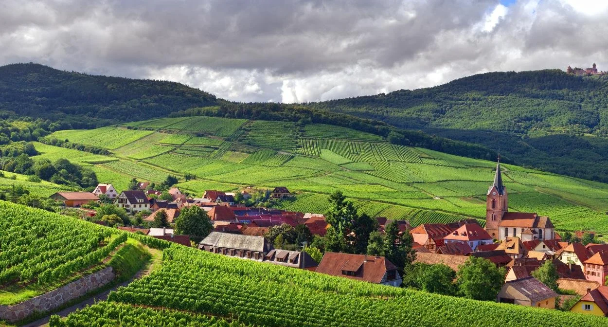 Alsace, a Top Wine Region Most Wine Drinkers Don’t Know About