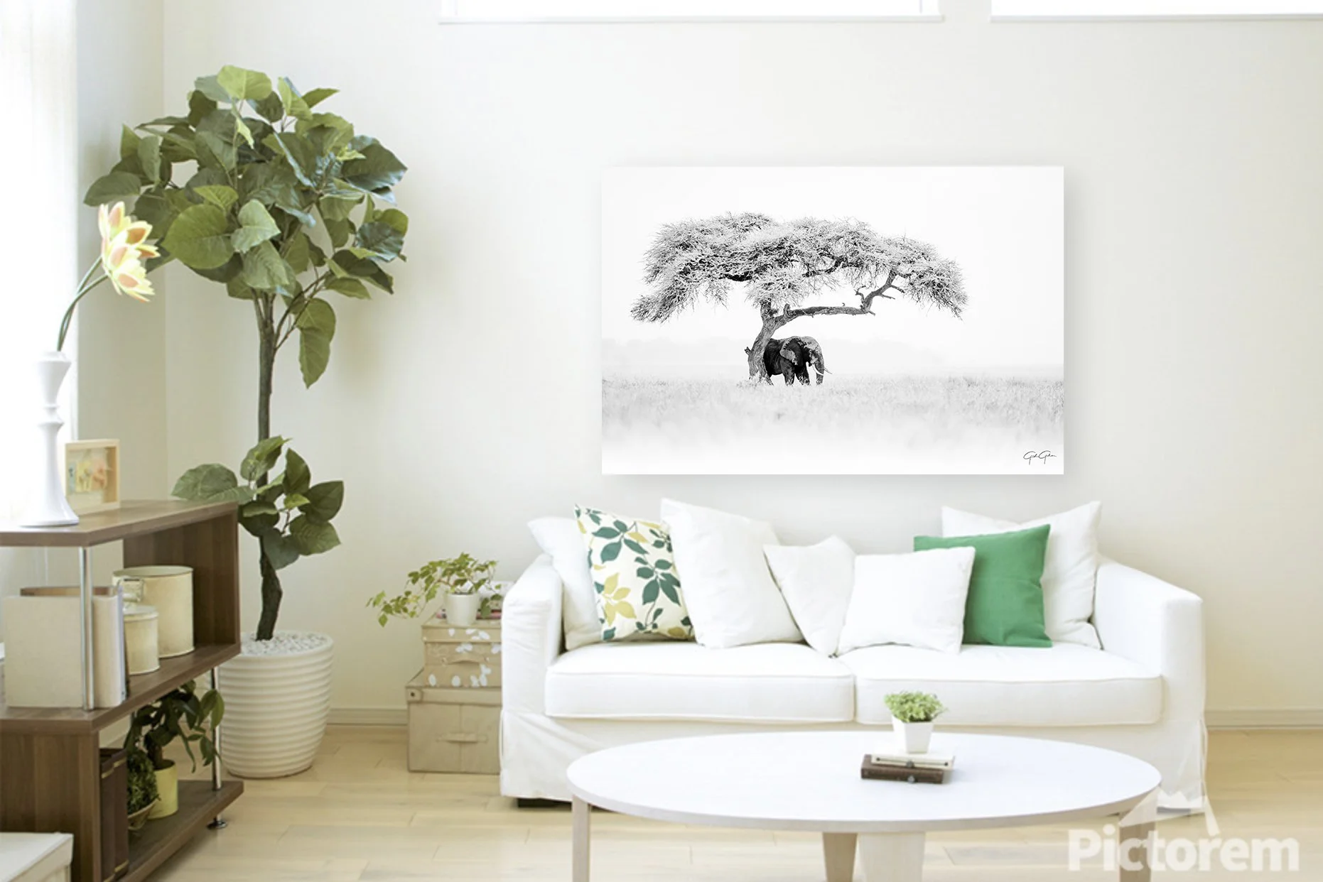 Screenshot 2026-01-02 at 21.15.33 copy.jpg