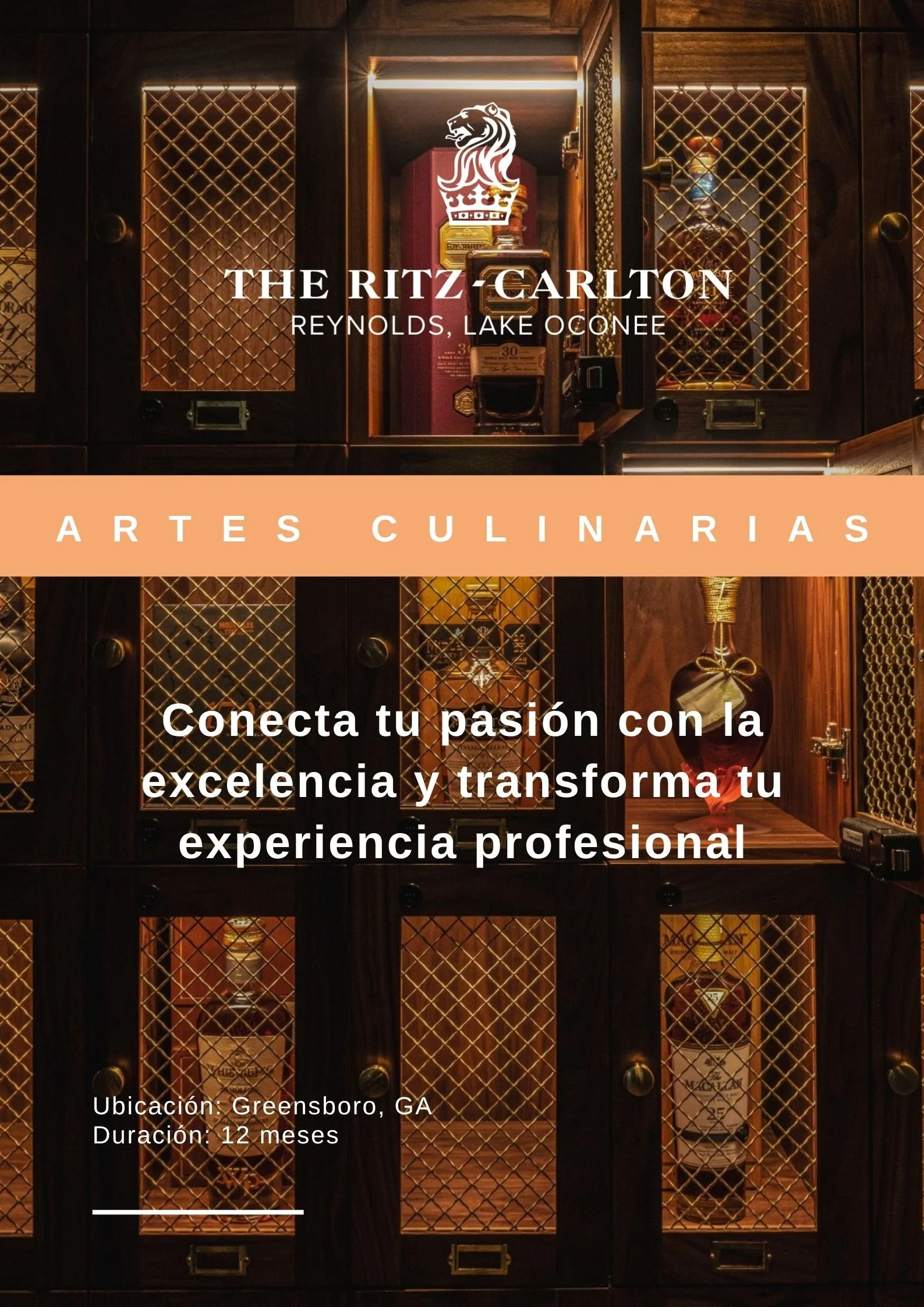 THE RITZ-CARLTON REYNOLDS, LAKE OCONEE