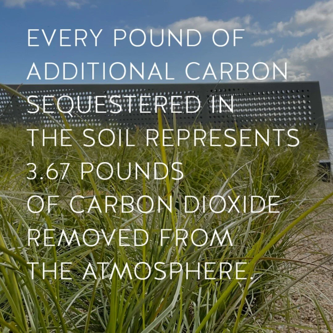 The landscape is part of a broader ecosystem and as the team @rescape_org says, &quot;one input effects the whole&quot;. Each choice in the design and implementation process has consequences for the environment. Some of our team is going through cert