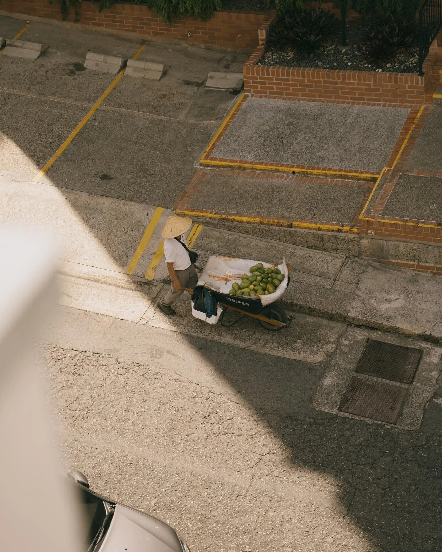 🇨🇴