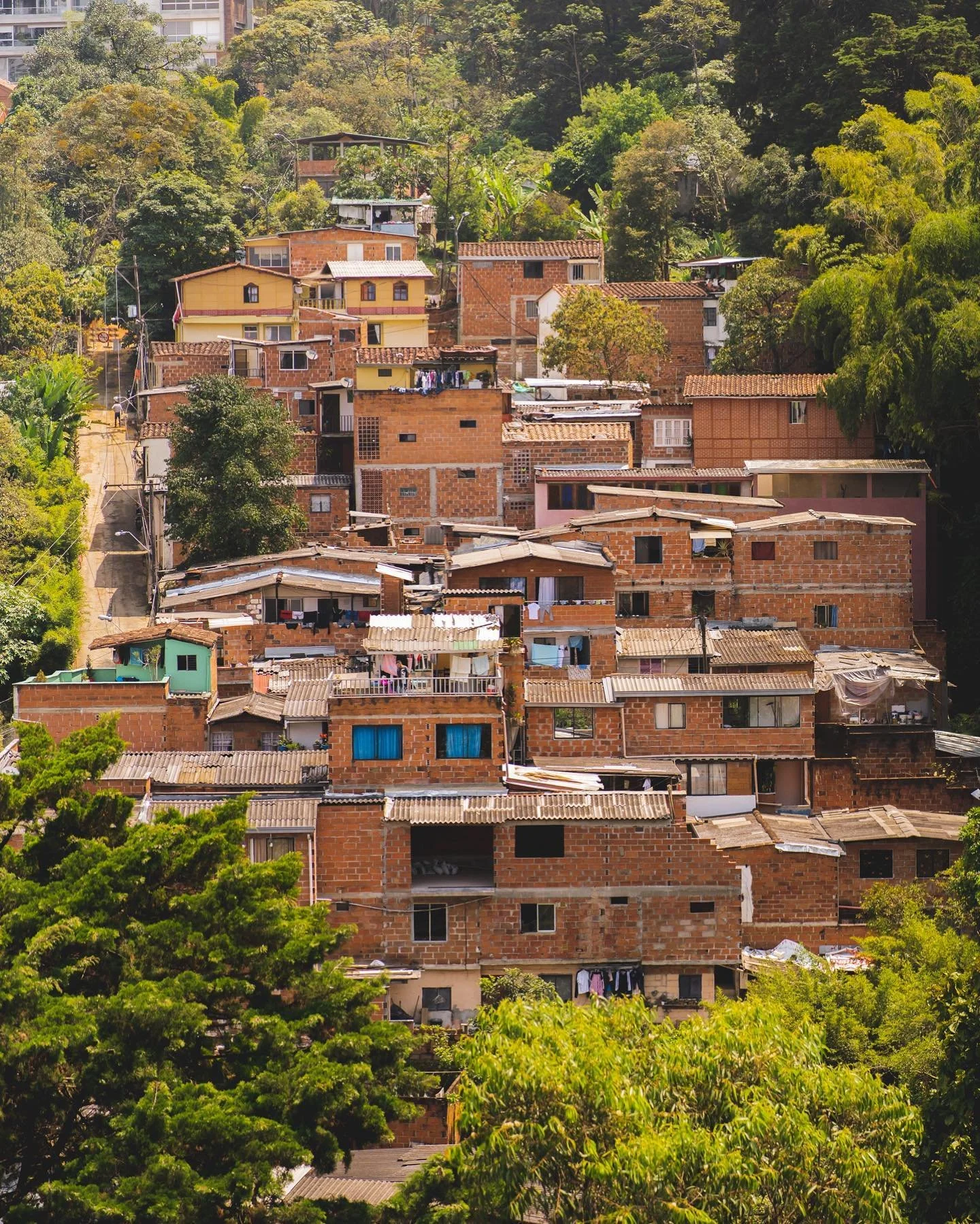 Eterna primavera

#medellin #sonyalpha #sonya7iii #colombia #elpoblado