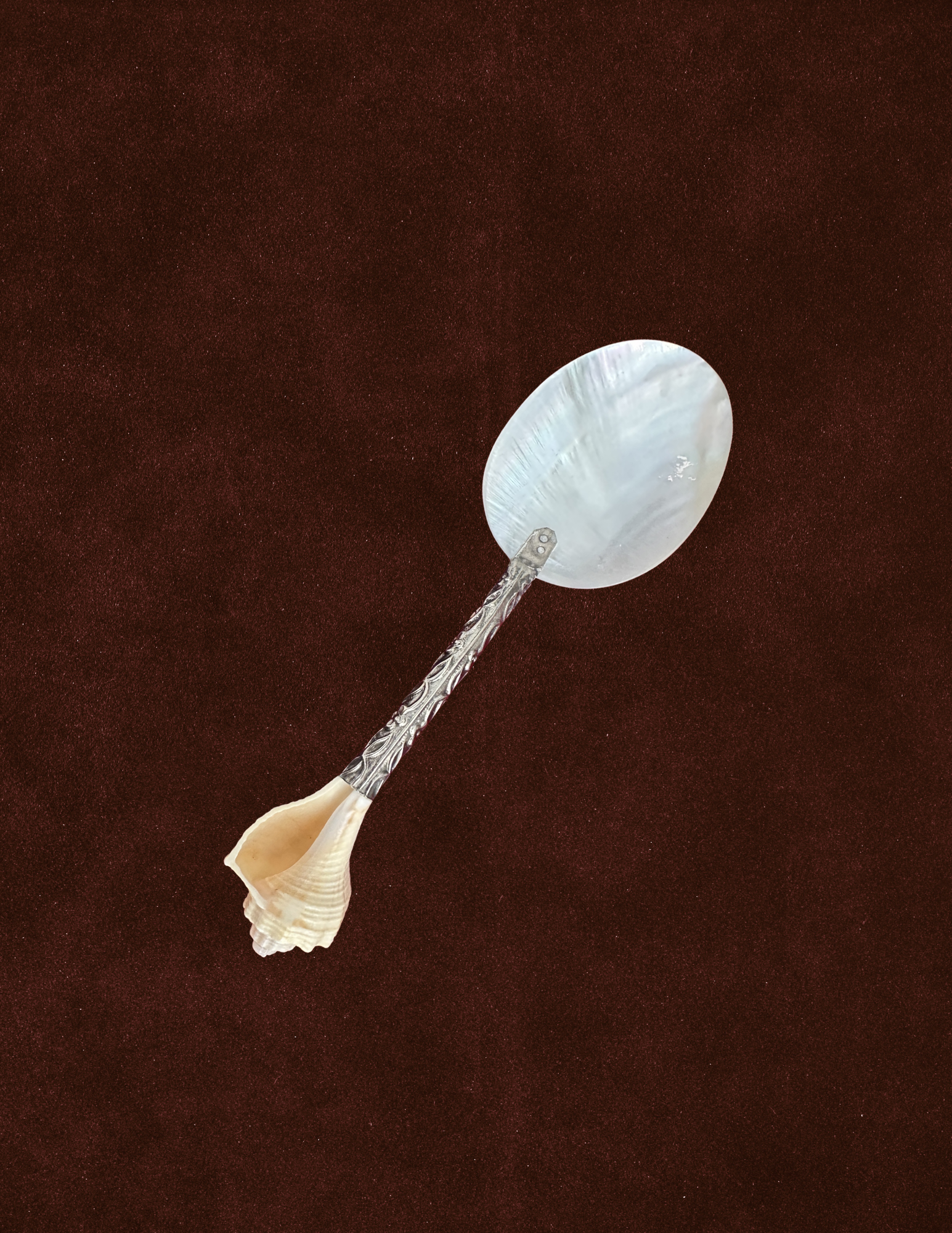 Mini Conch Spoon