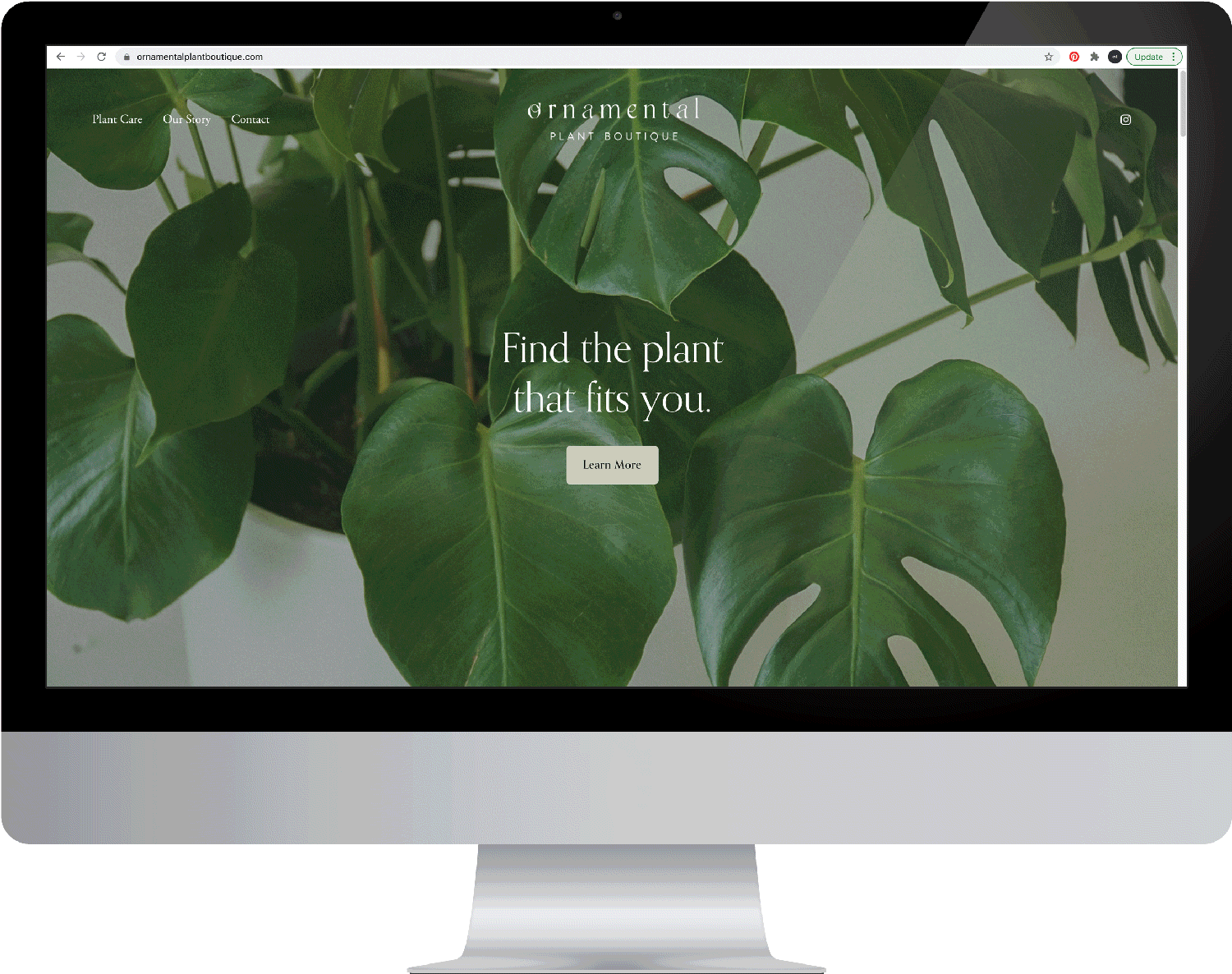 cielle-studio-website-design-squarespace-ornamental-plant-boutique.gif
