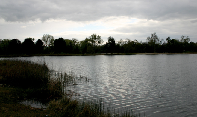 Participants 4, 7, and 8: Place you go to be with family/friends • "We go celebrate Holidays like Easter" • "We go and celebrate Easter" • "I like to enjoy the view and relax" (Pictured: Avocado Lake Park, Sanger, CA)
