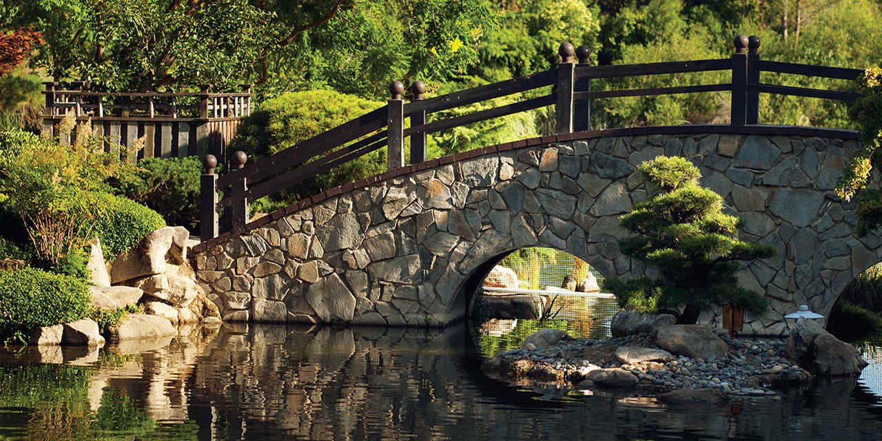 Participant 11: My favorite place and my favorite place to go with family •
"My favorite place and place to go with my family is Woodward Park. It is one of the best relaxing and beautiful parks here in Fresno. There are ducks, nice trees, a dog park
