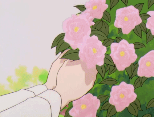 🌹 A Rose for the Garden 🌹