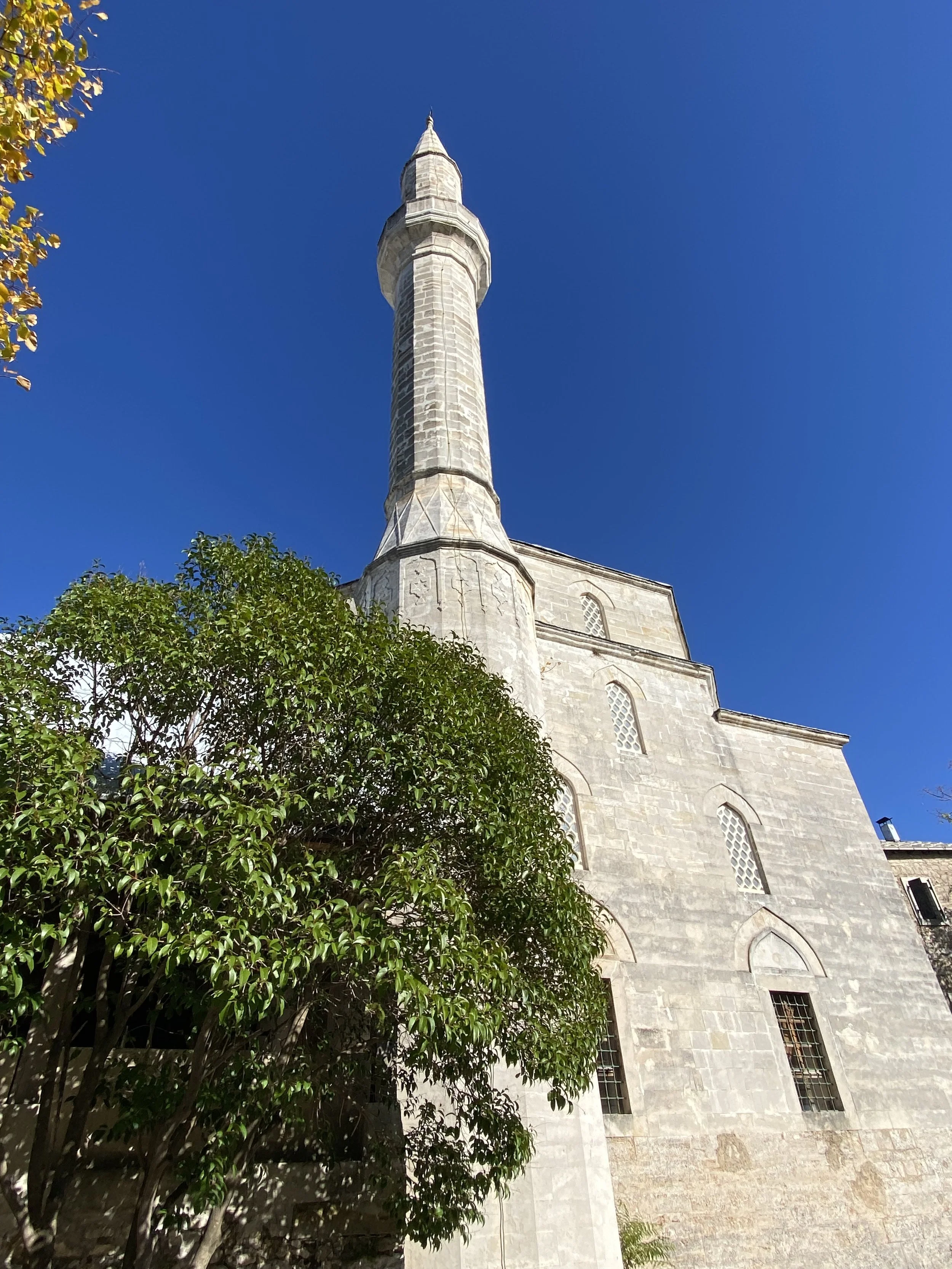 IMG_1267.jpg