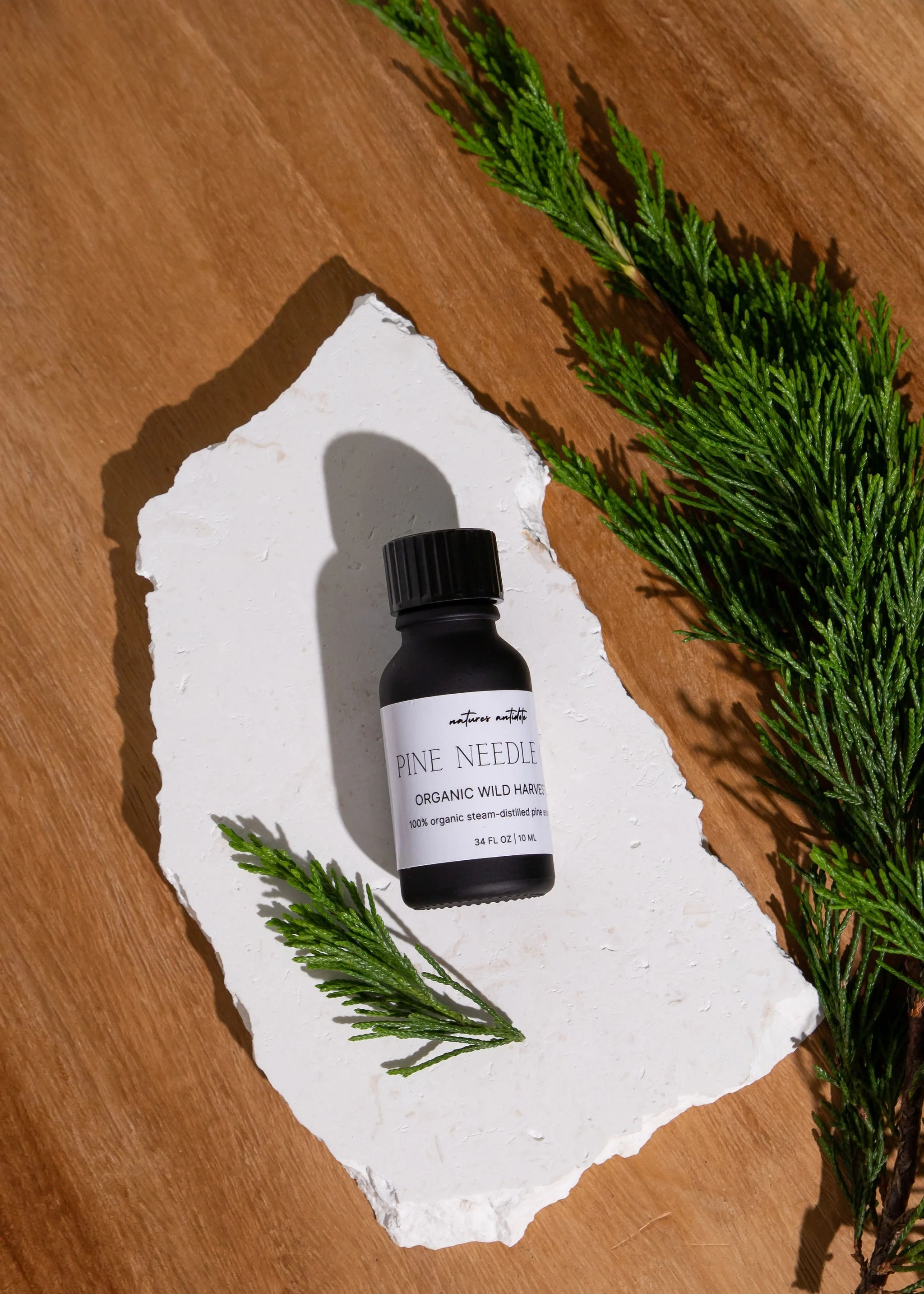 Pine Needle Tincture Eastern White Pine (pinus strobus) Pine needle Tea extract — PINE